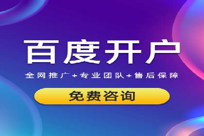 成功SEM服务案例：优化广告投放